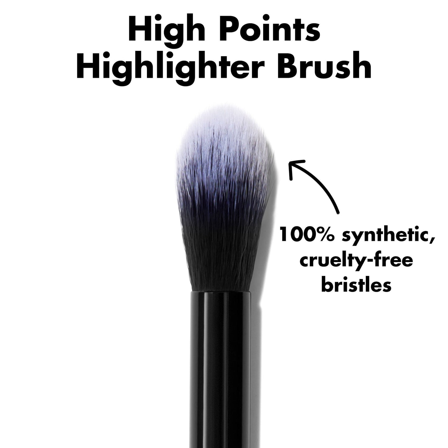 high-points-highlighter-brush-c2 0226_EDU_HighpointsHighlighterBrush_ProductDetail.jpg