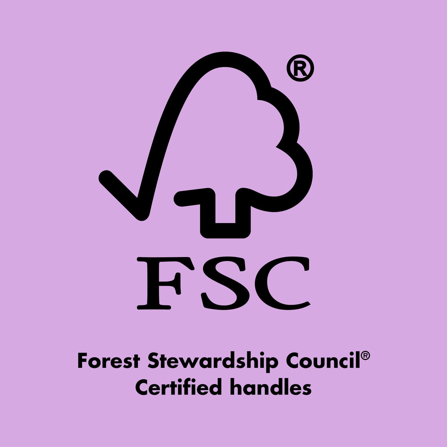 ten-out-of-ten-brush-kit-c3 0423_EDUCATION_FSC_EVERGREEN.jpg