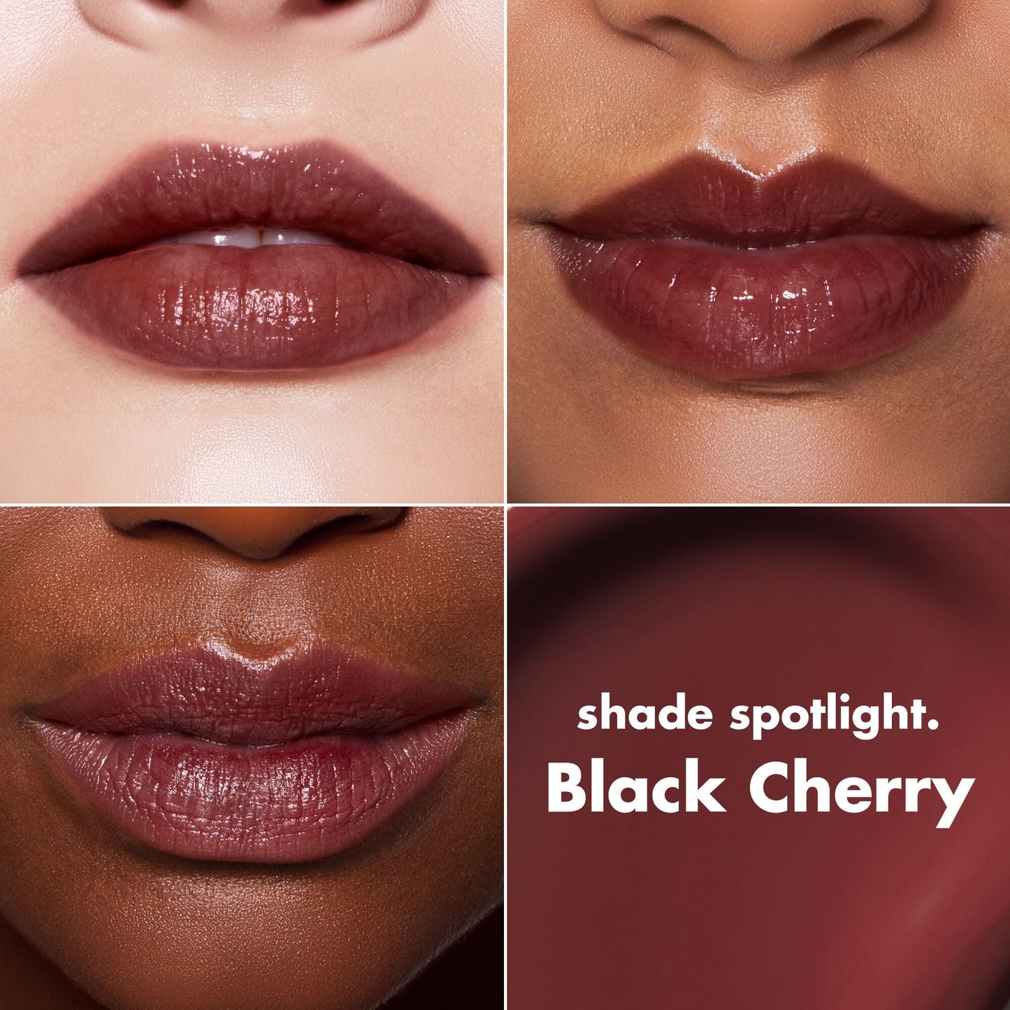 lip-lacquer-o0 0426_EDU_LipLaquer_ShadeChart_BlackCherry.jpg