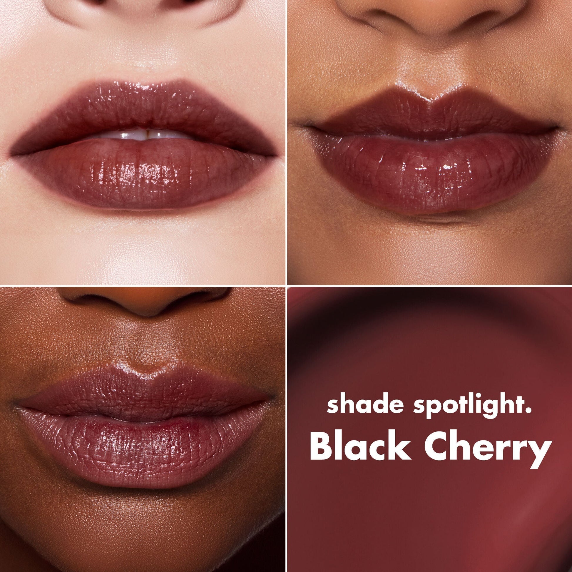 lip-lacquer-o0 0426_EDU_LipLaquer_ShadeChart_BlackCherry.jpg