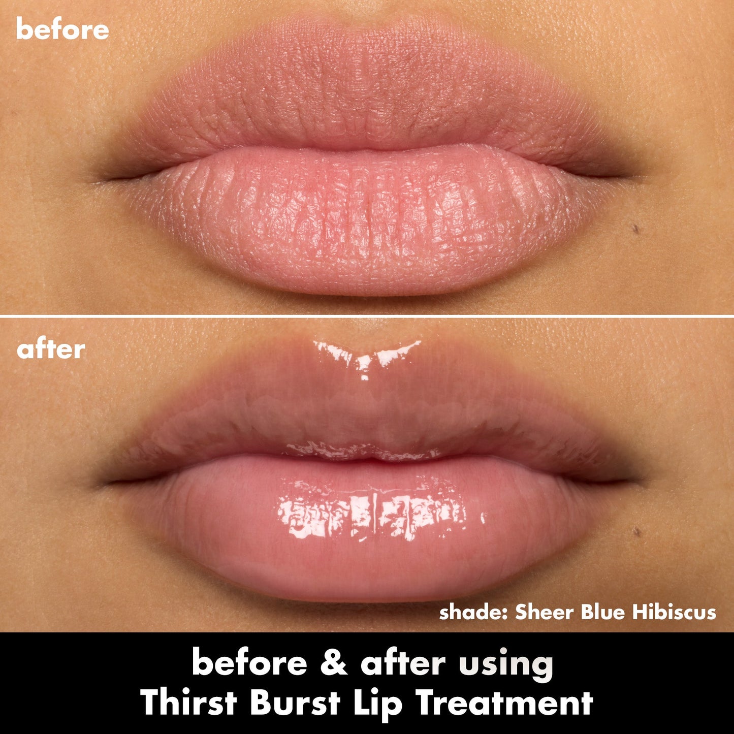 thirst-burst-lip-treatment-r4 0526_SEO_ThirstBurstLipTreatment_BA_SheerBlueHibiscus.jpg