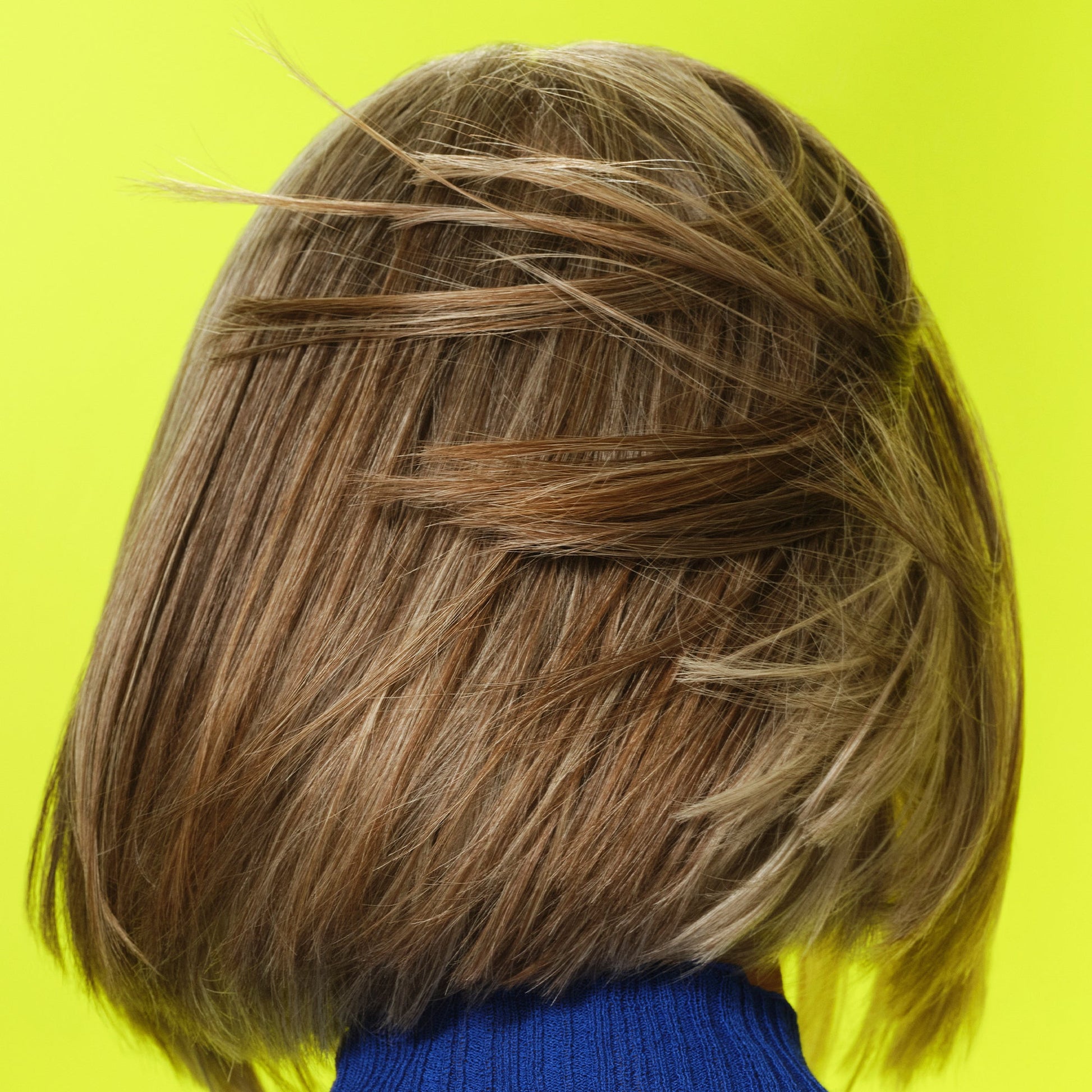 frizz-to-rizz-trio-q1 111725_Vicky_HumidityAntifrizz-Editorial_0538_w2QC_IGF_1x1_05a09617-4ccf-44a2-8545-199321a503e1.jpg