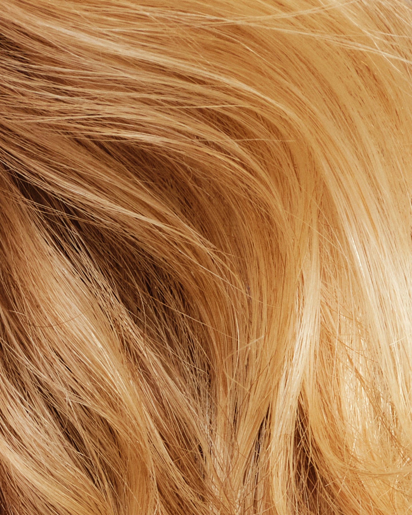 never-thirsty-moisturizing-shampoo-n3 111925_Anna_ThirstyShampoo-Product_3353_w4QC_V2_IGF_4x5_527d5445-92a2-4169-a5e5-062d364160a9.jpg