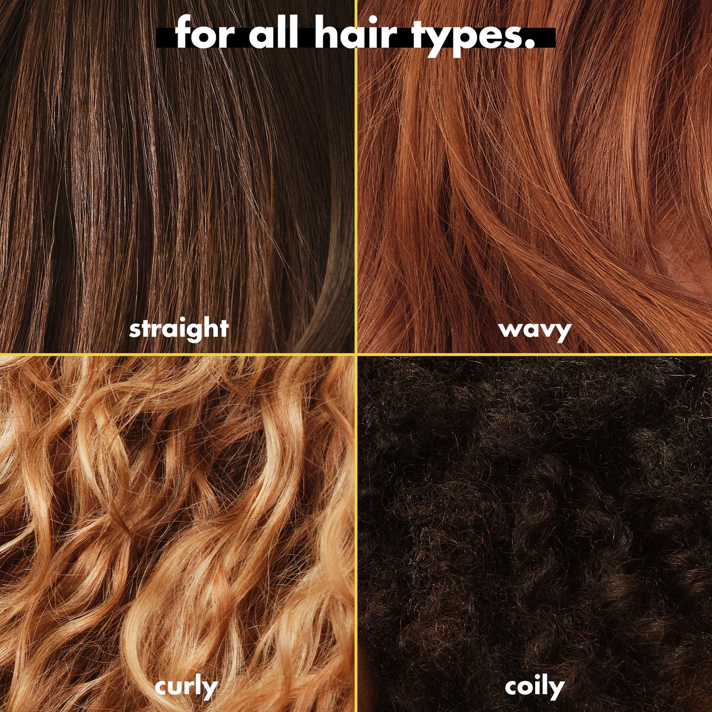 3-in-wonder-duo-c3 FA26_EDUCATION_DARE_GLOSS_MODE_ALLHAIR_TYPES.jpg