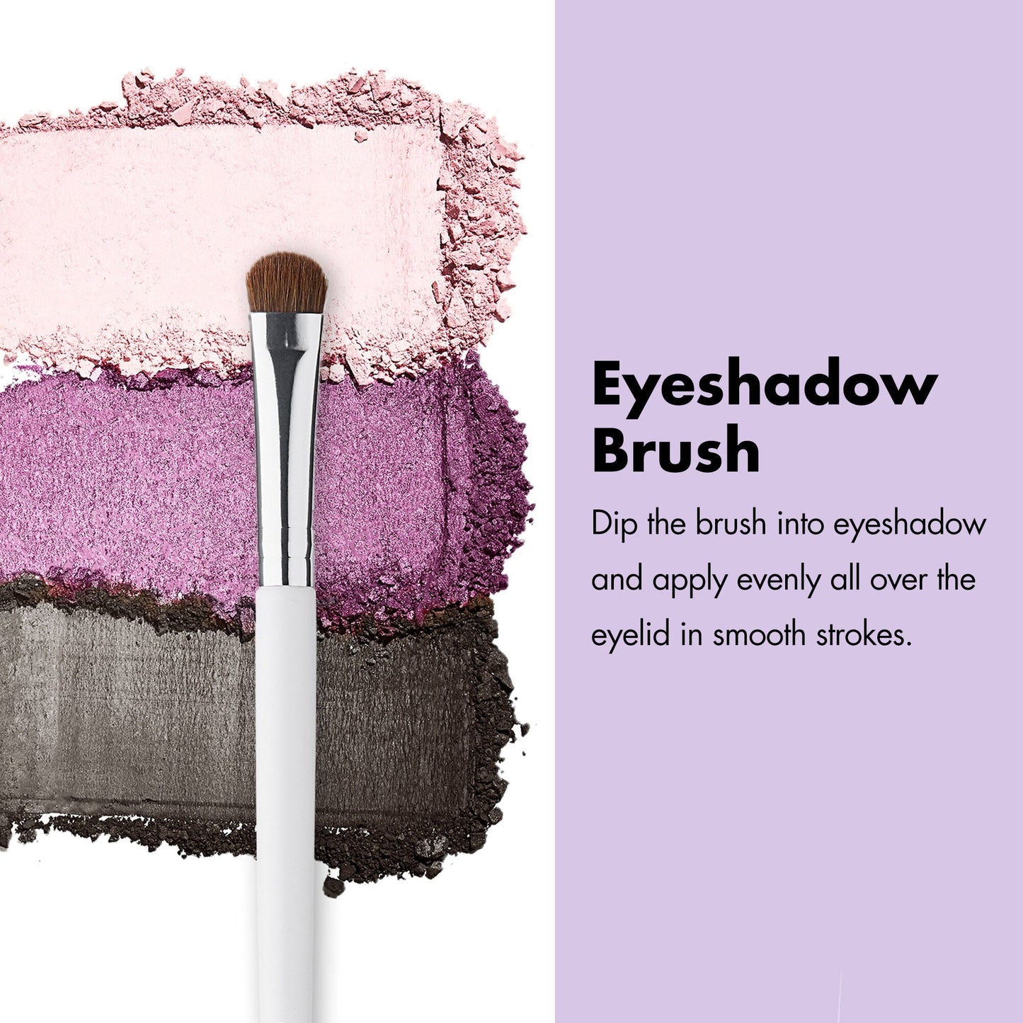 professional-set-of-12-makeup-brushes-e2 ProfessionalBrushes_Eye_EyeshadowBrush_PDP_Edu_2000x2000_2418e3b8-bb65-4e6d-af53-e6d0aab002ae.jpg